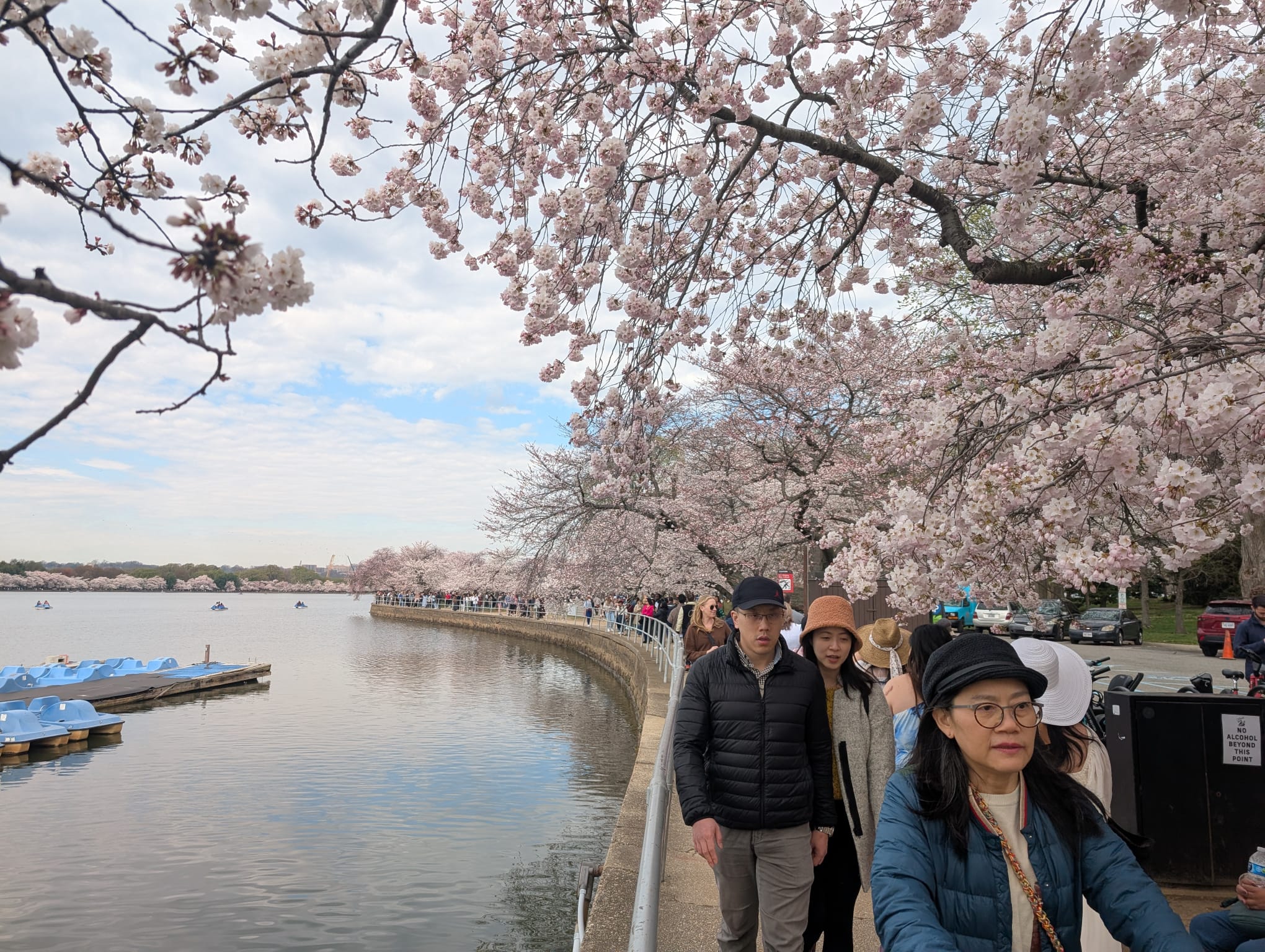 Cherry_Blossom_trip